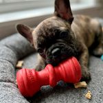 img_04