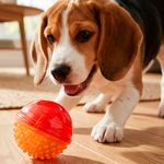img_03
