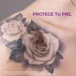GTIN-0650240073151-10