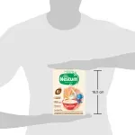 NESTUM Trigo Leche - 250g