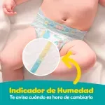 GTIN-0037000862246-08