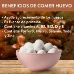 GTIN-7401159000331-05