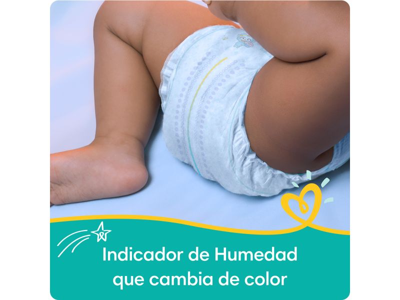 Pampers-Baby-Dry-S4-150-Und-5-5094