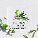 Shampoo-Herbal-Essences-Bio-Renew-Rosemary-Herbs-400-ml-4-9071