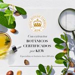 Shampoo-Herbal-Essences-Bio-Renew-Rosemary-Herbs-400-ml-8-9071
