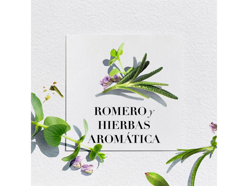 Acondicionador-Herbal-Essences-Bio-Renew-Rosemary-Herbs-400-ml-9-9076