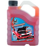 Desengrasante-Exterior-Auto-Antibacteria-1-30764