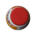 Yog-Yoplait-Naranja-Holandesa-750-G-4-33740