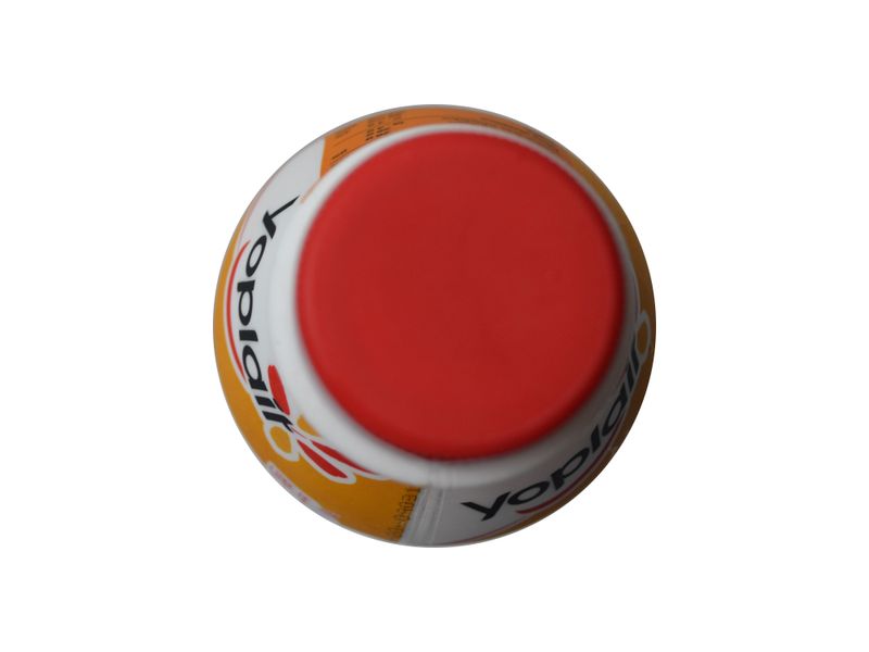 Yog-Yoplait-Naranja-Holandesa-750-G-4-33740