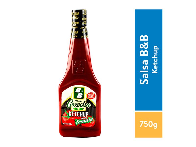 Ketchup-B-B-Botella-Plastica-750gr-1-13954