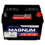 Bat-Auto-Magnum-Advance-575Cca14-Placas-2-28829