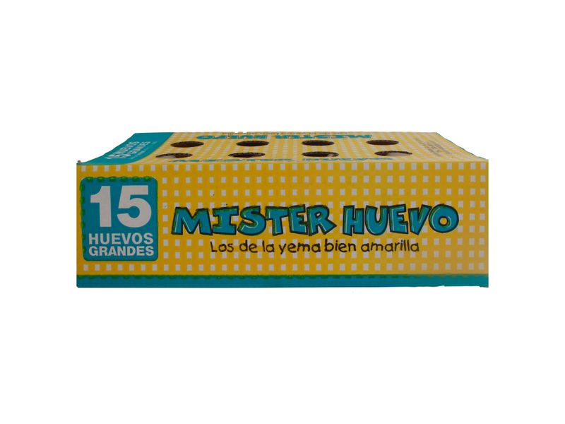 Huevo-Mister-Huevo-Grande-Blanco-15Unidades-3-30190