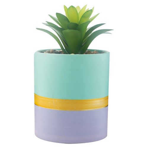 Maceta Redonda Mainstays De Ceramica Con Planta - Unidad