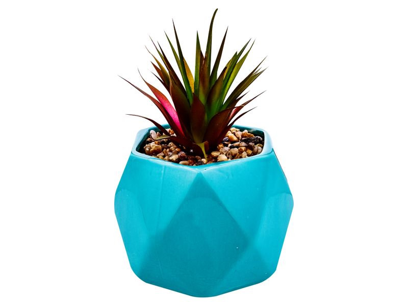 Maceta-Rombos-Mainstays-De-Ceramica-Con-Planta-Unidad-1-20868