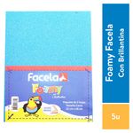 Cr-Foamy-Facela-C-Brillan-Carta-5-Hojas-3-15980