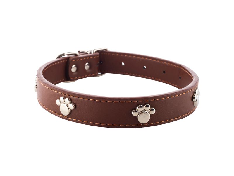 Collar-Perro-Ol-Roy-1-33997