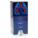 Coqueluche-Jarabe-120-Ml-1-29947