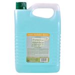 Shampoo-Lemon-Grass-De-Alfombra-1-Galon-1-31208