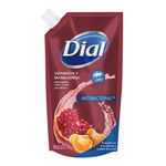 Jabon-Dial-Pouch-Granada-Mandarina-450Ml-1-36830