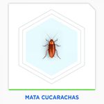 Comprar Sistema Exterminador RAID® MAX®, Trampas Para Cucarachas 8 ...