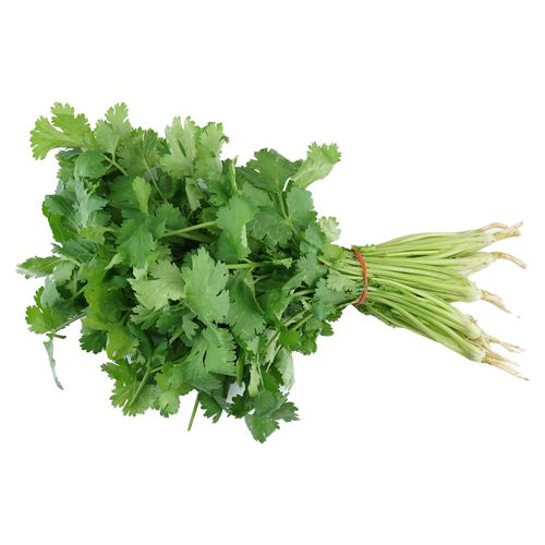 Cilantro En Manojo