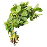 GTIN-0000000072052-01