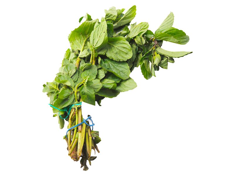 GTIN-0000000072052-01