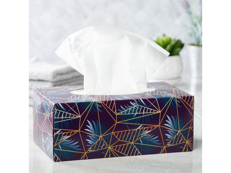 Pa-uelo-Facial-Great-Value-Ultra-Soft-120-Unidades-5-7631