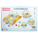 Gimnasio-Deluxe-Con-Pelotas-Winfun-4-20712
