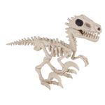 Esqueleto-Lagarto-Hw-1-9099