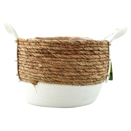 Ms Canasta Para Jardin 29X29Cm