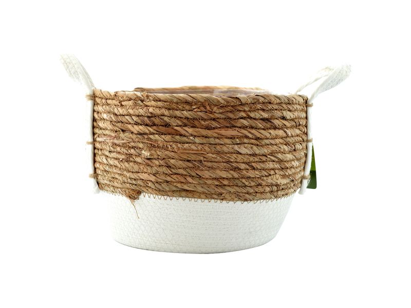 Ms-Canasta-Para-Jardin-29X29Cm-1-22808