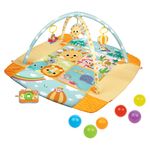 Gimnasio-Deluxe-Con-Pelotas-Winfun-1-20712