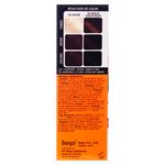 Tinte-Bigen-45-Chocolate-6gr-2-21232