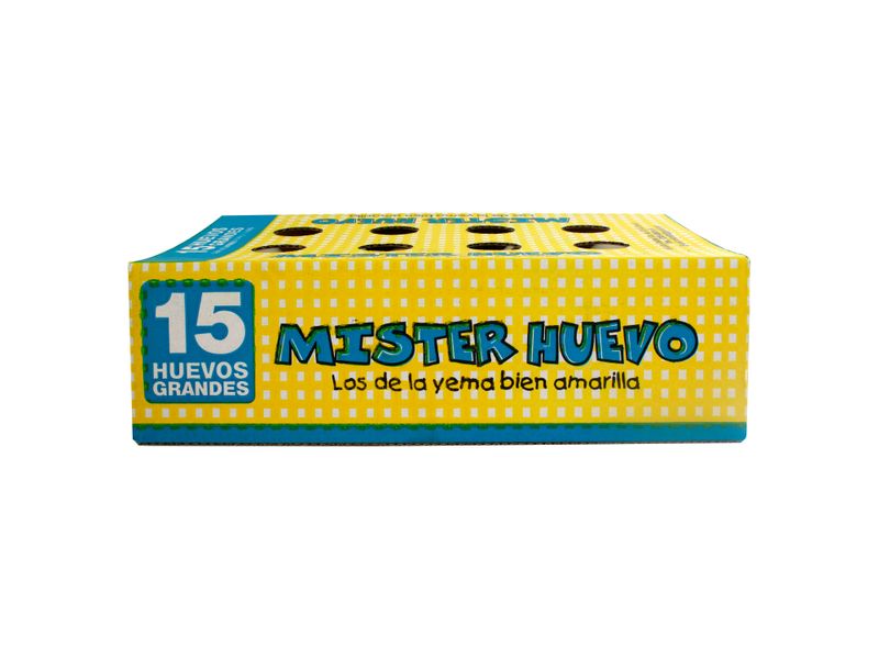 Huevo-Mister-Huevo-Grande-Blanco-15Unidades-2-30190