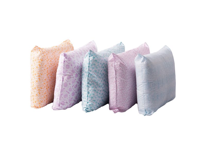 2-Pack-Almohadas-Home-Design-1-44882