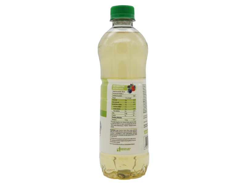 Refresc-Dos-Pinos-Te-Verde-Antioxi-500Ml-2-33423