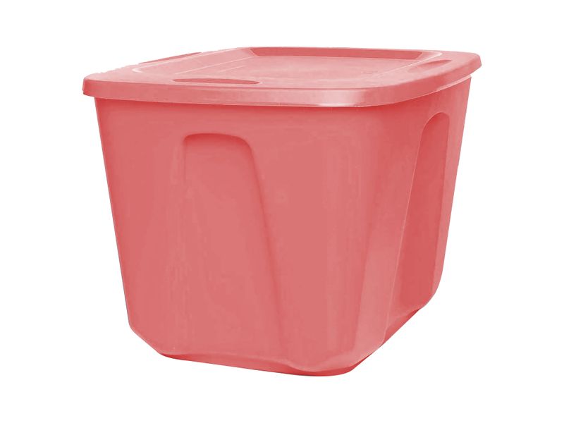 Caja-Organizadora-Homz-Coral-68lt-1-7126