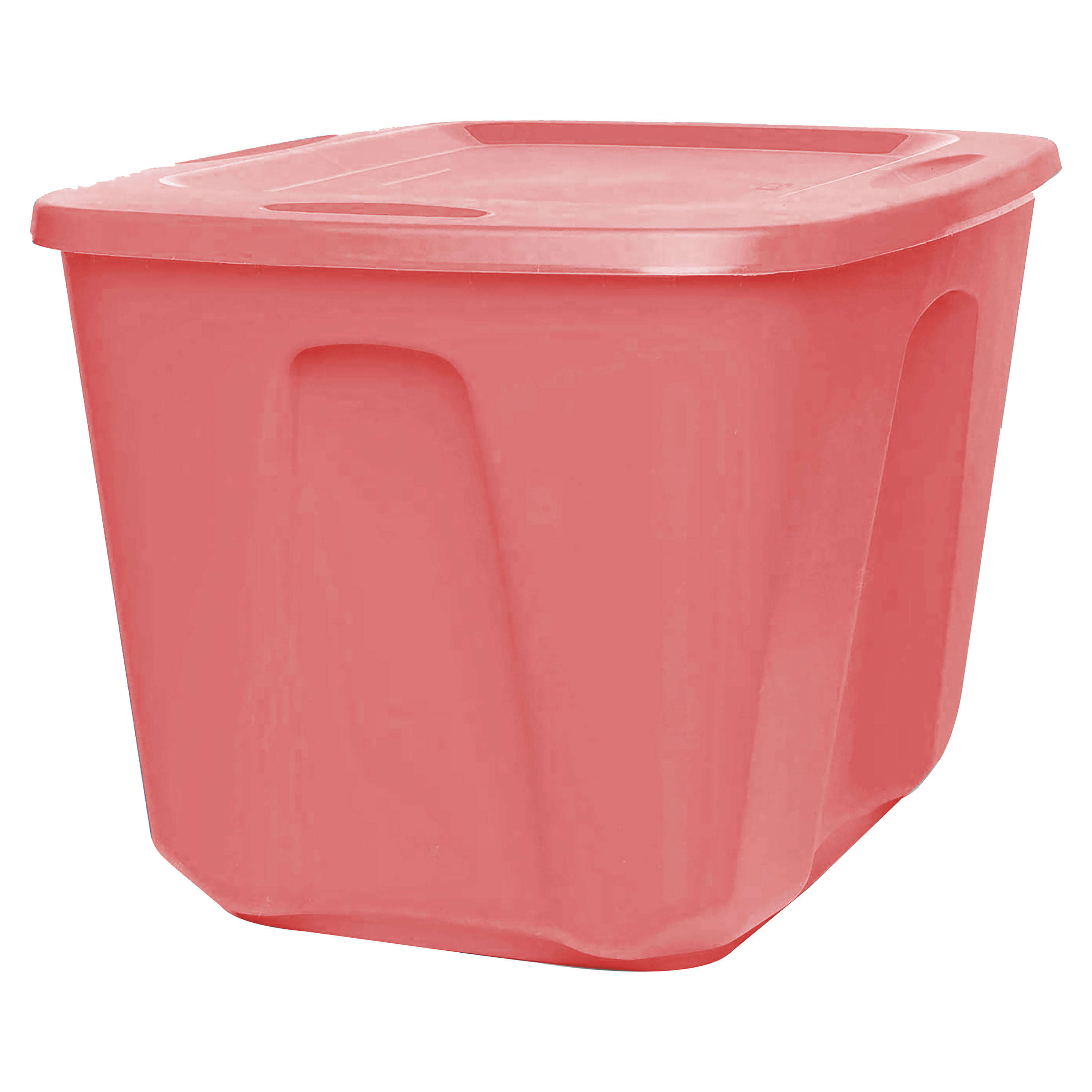 Caja-Organizadora-Homz-Coral-68lt-1-7126