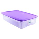 Caja-Organizadora-Uchosa-Surtido-Colores-30lt-2-33835