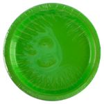 Plato-Verde-Lima-9Plg-16U-1-807