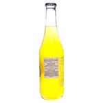 Jarritos-Pi-a-370ml-2-45622