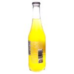 Jarritos-Pi-a-370ml-3-45622