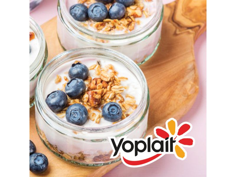 Yogurt-Yoplait-Arandano-Protein-230Gr-2-33729