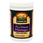 Fibra-Natural-Psyllium-La-Bonne-Vie-400G-1-30952