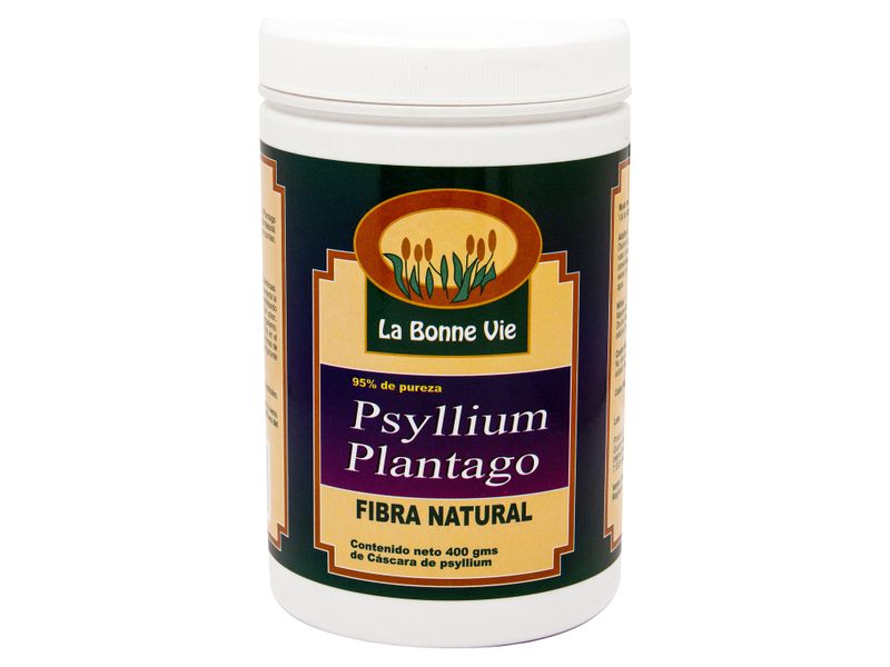 Fibra-Natural-Psyllium-La-Bonne-Vie-400G-1-30952