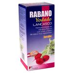 Rabano-Yodado-Lancasco-240-Ml-Una-Caja-Rabano-Yodado-Lancasco-240-Ml-1-4265