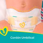 Pa-al-Pampers-Swaddlers-T2-Jumbo-29-Unidades-7-5062