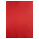 Cartulina-AAA-Ariel-Cover-Pliego-Rojo-1-45943