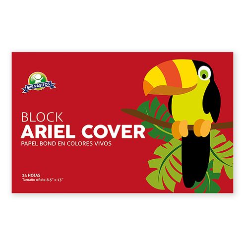 Block Mis Pasitos Ariel Cover Oficio 24H